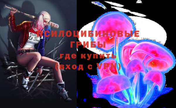 ешки Армянск