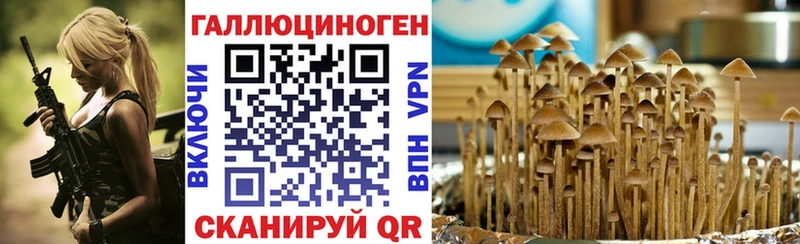 Псилоцибиновые грибы Psilocybine cubensis  Зеленокумск 